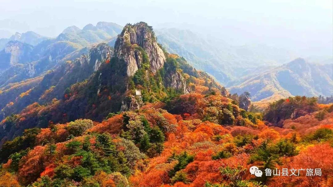 /upload/article/2021/10/19/2e43c4da-227b-4fb6-a7d4-74e614184dce.jpg /upload/article/2021/10/19/2e43c4da-227b-4fb6-a7d4-74e614184dce.jpg