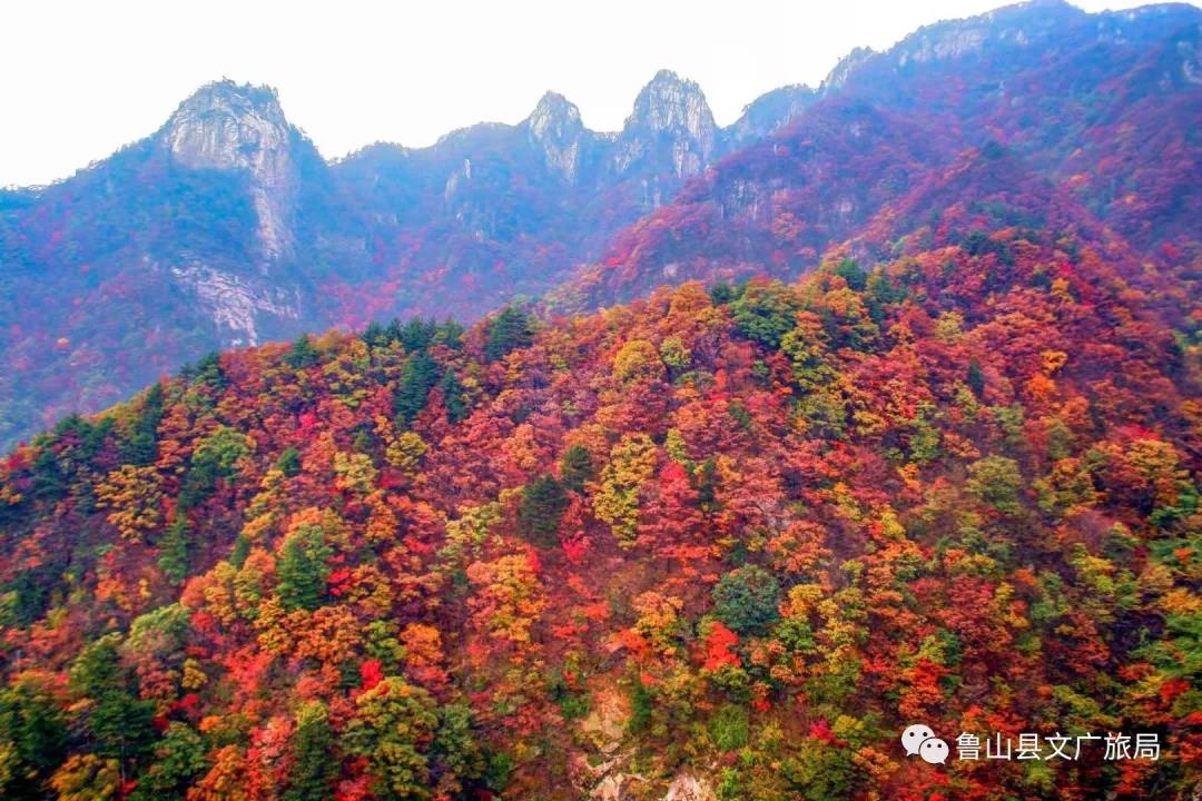 /upload/article/2021/10/19/c5cfe2a6-c206-4884-9e92-11dbf30e9d4a.jpg /upload/article/2021/10/19/c5cfe2a6-c206-4884-9e92-11dbf30e9d4a.jpg