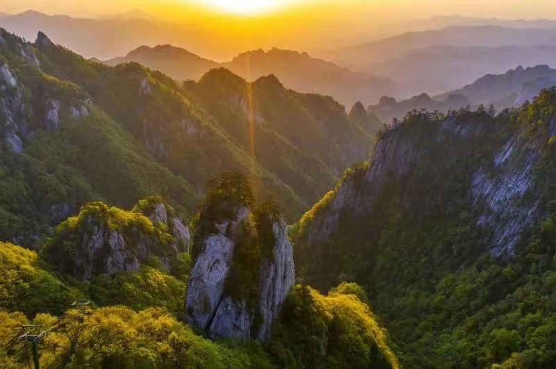 /upload/article/2022/05/11/0163de6f-64b5-428f-844b-0124cbe37965.jpg /upload/article/2022/05/11/0163de6f-64b5-428f-844b-0124cbe37965.jpg