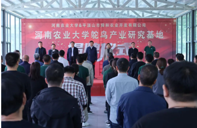 /upload/article/2023/05/14/8beb07bc-4a81-4dbd-8cd1-d0f6be729309.png /upload/article/2023/05/14/8beb07bc-4a81-4dbd-8cd1-d0f6be729309.png