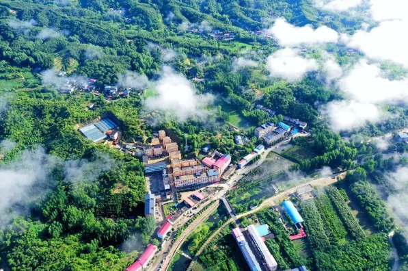 /upload/article/2023/07/07/b7aa4b97-bd7c-4459-8642-65ae18dd6f77.png /upload/article/2023/07/07/b7aa4b97-bd7c-4459-8642-65ae18dd6f77.png