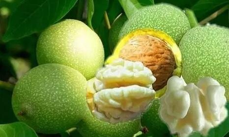 /upload/bbs/2017/08/21/6d720461-d1ae-45be-897d-4a01aad649a8.jpg /upload/bbs/2017/08/21/6d720461-d1ae-45be-897d-4a01aad649a8.jpg