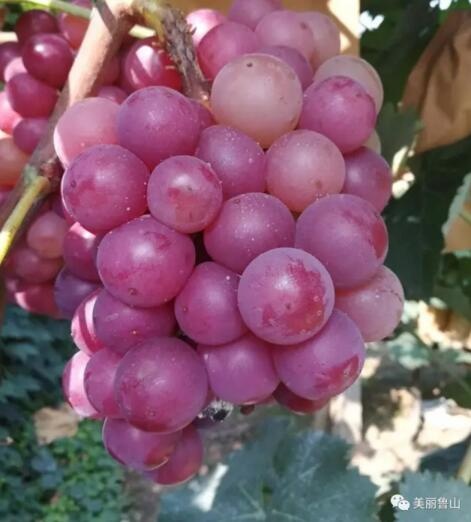 /upload/bbs/2017/08/21/a4c46e51-b122-47dd-af43-b121f6289e49.jpg /upload/bbs/2017/08/21/a4c46e51-b122-47dd-af43-b121f6289e49.jpg