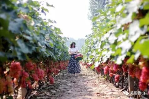 /upload/bbs/2017/08/21/ea5c8f0e-40b5-4193-8e6c-ac6402d35d16.jpg /upload/bbs/2017/08/21/ea5c8f0e-40b5-4193-8e6c-ac6402d35d16.jpg