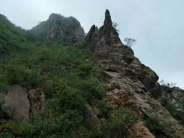 /upload/bbs/2017/10/02/dca7bbf6-b6df-403c-bcb1-29478842fddb.jpg /upload/bbs/2017/10/02/dca7bbf6-b6df-403c-bcb1-29478842fddb.jpg