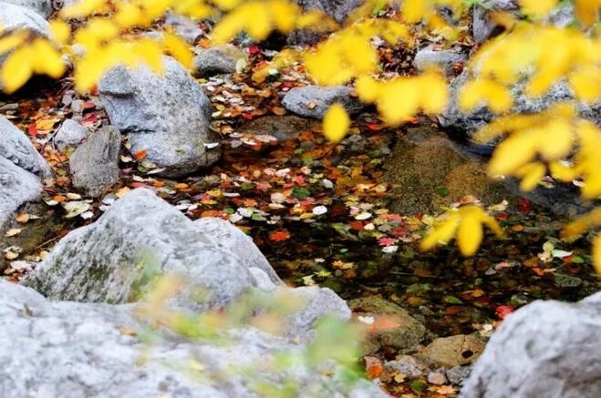 /upload/bbs/2017/10/03/3b9101e0-c7a5-4379-b42f-334ea54943aa.jpg /upload/bbs/2017/10/03/3b9101e0-c7a5-4379-b42f-334ea54943aa.jpg