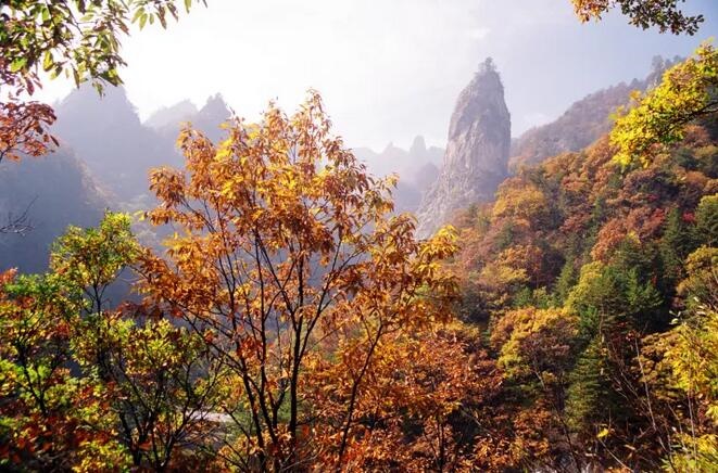 /upload/bbs/2017/10/03/d2446e47-c635-4ab5-91a1-ab059846c03a.jpg /upload/bbs/2017/10/03/d2446e47-c635-4ab5-91a1-ab059846c03a.jpg