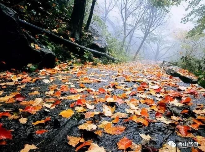 /upload/bbs/2017/11/19/1deb94ed-5d05-4da2-8abf-def1d1e9cb0c.jpg /upload/bbs/2017/11/19/1deb94ed-5d05-4da2-8abf-def1d1e9cb0c.jpg