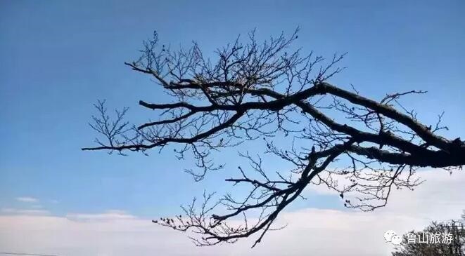 /upload/bbs/2017/11/19/4090e486-7645-4865-a29e-33d750201f9b.jpg /upload/bbs/2017/11/19/4090e486-7645-4865-a29e-33d750201f9b.jpg