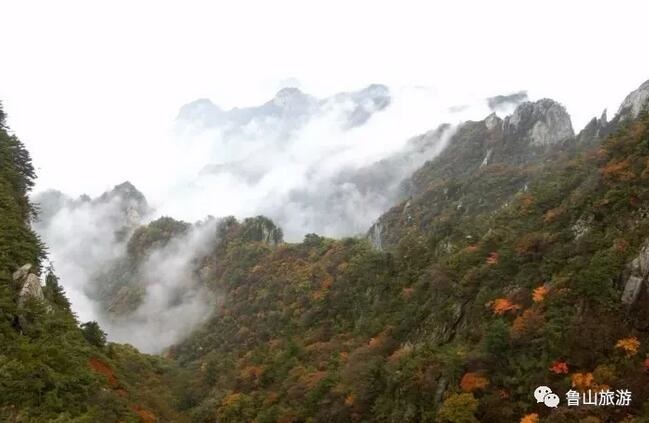 /upload/bbs/2017/11/19/5b7d0804-b6bc-46c2-91bb-27afa21dee49.jpg /upload/bbs/2017/11/19/5b7d0804-b6bc-46c2-91bb-27afa21dee49.jpg