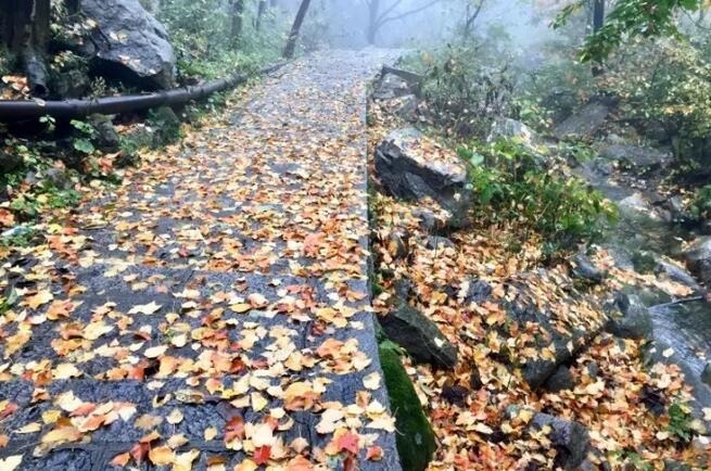 /upload/bbs/2017/11/19/987b1fb8-ee0e-47bc-ae68-149ea9efa511.jpg /upload/bbs/2017/11/19/987b1fb8-ee0e-47bc-ae68-149ea9efa511.jpg