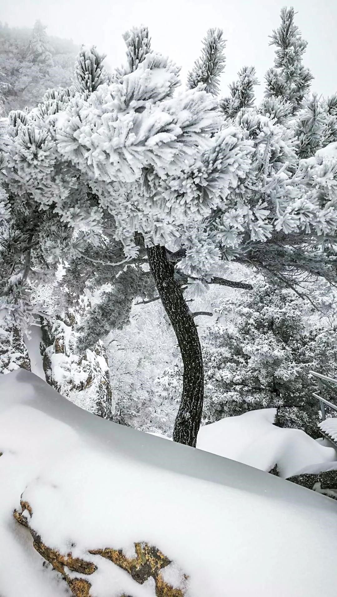 /upload/bbs/2018/01/06/29dd2926-b86f-4b89-9095-0a61665f4833.jpg /upload/bbs/2018/01/06/29dd2926-b86f-4b89-9095-0a61665f4833.jpg