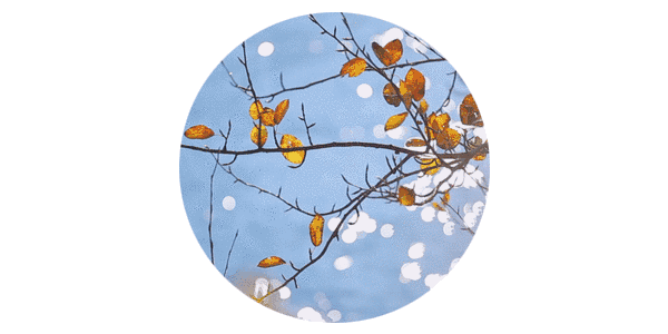 /upload/bbs/2018/03/15/3c44be92-e381-439c-97d7-cc11049aa354.gif /upload/bbs/2018/03/15/3c44be92-e381-439c-97d7-cc11049aa354.gif