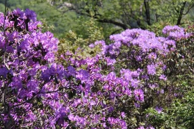 /upload/bbs/2018/03/19/8478df0d-37ac-4ce7-9826-57c169993e4c.jpg /upload/bbs/2018/03/19/8478df0d-37ac-4ce7-9826-57c169993e4c.jpg