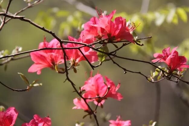 /upload/bbs/2018/03/19/ac5b50a7-ebb7-4e23-b636-89f4a12b2870.jpg /upload/bbs/2018/03/19/ac5b50a7-ebb7-4e23-b636-89f4a12b2870.jpg