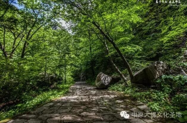 /upload/bbs/2018/03/30/78dc7b13-603e-43f7-af2c-ccd2148ccd2e.jpg /upload/bbs/2018/03/30/78dc7b13-603e-43f7-af2c-ccd2148ccd2e.jpg