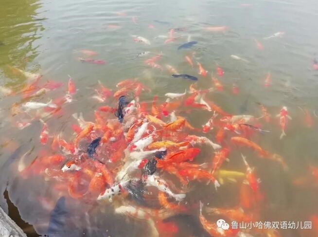 /upload/bbs/2018/03/30/8ec19b07-bf01-45fd-8eb0-ceff8f102f68.jpg /upload/bbs/2018/03/30/8ec19b07-bf01-45fd-8eb0-ceff8f102f68.jpg