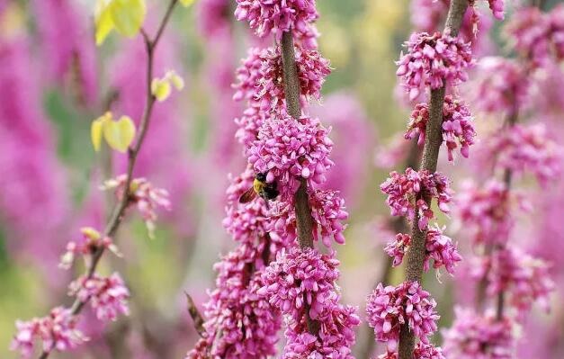 /upload/bbs/2018/04/15/4d796b21-73a5-44ab-ae52-76993f3ba094.jpg /upload/bbs/2018/04/15/4d796b21-73a5-44ab-ae52-76993f3ba094.jpg