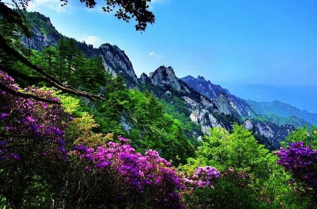 /upload/bbs/2018/04/15/83e35997-fb4c-4b8b-8b0d-ad7eddf218c4.jpg /upload/bbs/2018/04/15/83e35997-fb4c-4b8b-8b0d-ad7eddf218c4.jpg