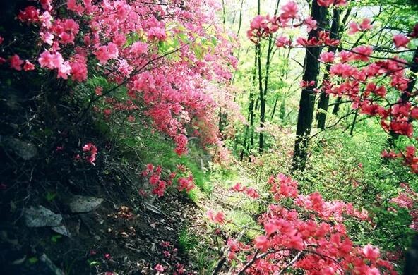 /upload/bbs/2018/04/15/8cbfca20-5c57-478d-bb9f-7d515b149001.jpg /upload/bbs/2018/04/15/8cbfca20-5c57-478d-bb9f-7d515b149001.jpg