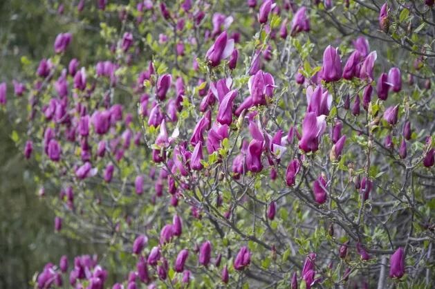 /upload/bbs/2018/04/15/a3379662-fa36-41da-a5ee-7f54ee661da9.jpg /upload/bbs/2018/04/15/a3379662-fa36-41da-a5ee-7f54ee661da9.jpg