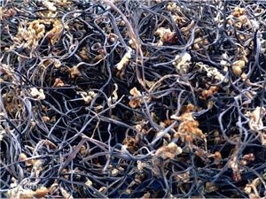 /upload/bbs/2018/04/17/093c6e97-1e9e-4f11-94e4-6d9eadb979f8.jpg /upload/bbs/2018/04/17/093c6e97-1e9e-4f11-94e4-6d9eadb979f8.jpg