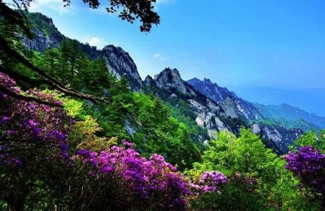 /upload/bbs/2018/04/18/07fb2d6e-dd22-41d2-93c3-066c7e8e3b76.jpg /upload/bbs/2018/04/18/07fb2d6e-dd22-41d2-93c3-066c7e8e3b76.jpg