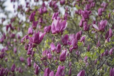 /upload/bbs/2018/04/18/700a1d5b-b63e-4706-a62e-79f76102d4ab.jpg /upload/bbs/2018/04/18/700a1d5b-b63e-4706-a62e-79f76102d4ab.jpg