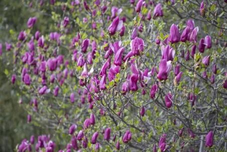 /upload/bbs/2018/04/18/7f2ed4fa-c144-40be-8262-e61909fb75ae.jpg /upload/bbs/2018/04/18/7f2ed4fa-c144-40be-8262-e61909fb75ae.jpg