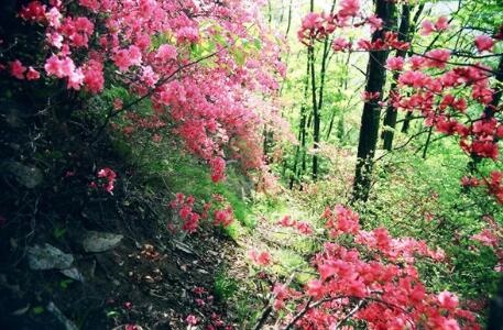 /upload/bbs/2018/04/18/817d5986-b7a7-47d8-86d3-852a37cf9fbf.jpg /upload/bbs/2018/04/18/817d5986-b7a7-47d8-86d3-852a37cf9fbf.jpg