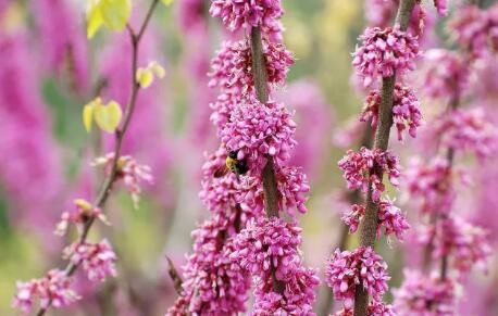 /upload/bbs/2018/04/18/f9144eb1-8fff-4dac-9937-ca8640b54c2e.jpg /upload/bbs/2018/04/18/f9144eb1-8fff-4dac-9937-ca8640b54c2e.jpg