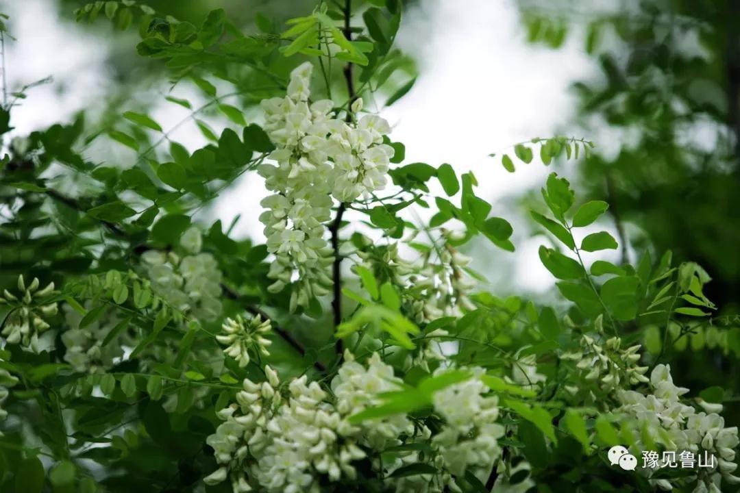 /upload/bbs/2018/04/23/0547e137-d4b0-4f05-9cc3-841bbaa77720.jpg /upload/bbs/2018/04/23/0547e137-d4b0-4f05-9cc3-841bbaa77720.jpg