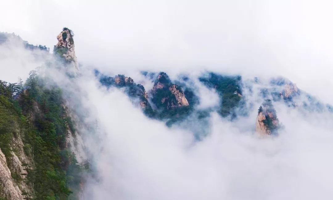 /upload/bbs/2018/04/23/2575d5b2-175d-4d6c-b210-e5f4d019a99a.jpg /upload/bbs/2018/04/23/2575d5b2-175d-4d6c-b210-e5f4d019a99a.jpg