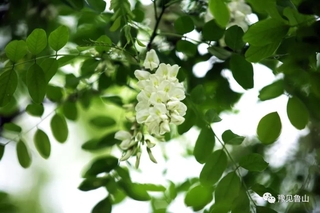 /upload/bbs/2018/04/23/43b5ed29-9cb7-485d-bf20-f75b62e51097.jpg /upload/bbs/2018/04/23/43b5ed29-9cb7-485d-bf20-f75b62e51097.jpg