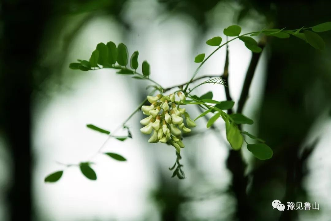 /upload/bbs/2018/04/23/5917f616-3773-4c80-a02a-d18b455babb2.jpg /upload/bbs/2018/04/23/5917f616-3773-4c80-a02a-d18b455babb2.jpg