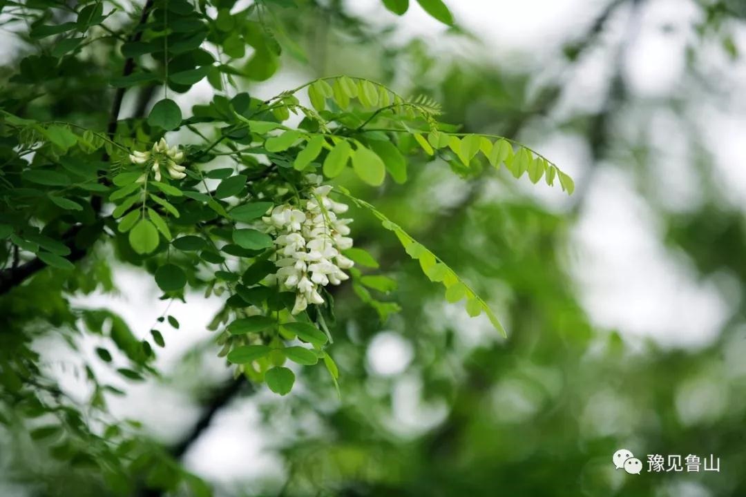 /upload/bbs/2018/04/23/99da562a-b0af-4f4d-af8d-e33818e419ee.jpg /upload/bbs/2018/04/23/99da562a-b0af-4f4d-af8d-e33818e419ee.jpg