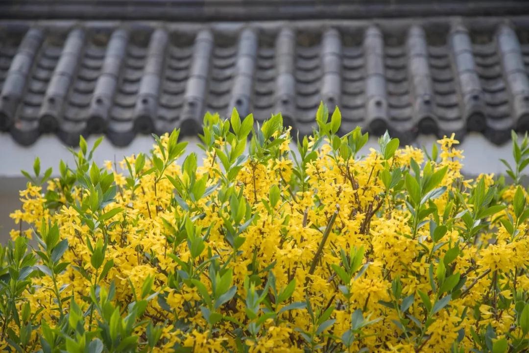 /upload/bbs/2018/04/23/ac7434cf-2475-4c5a-abb3-4901aa8a954b.jpg /upload/bbs/2018/04/23/ac7434cf-2475-4c5a-abb3-4901aa8a954b.jpg