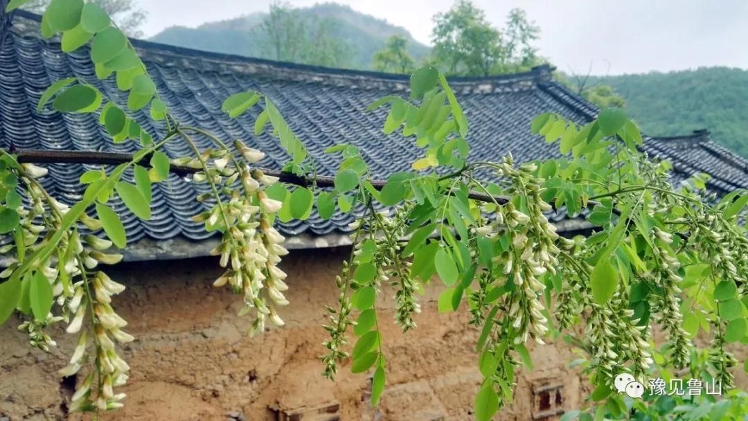 /upload/bbs/2018/04/23/d3367aaa-2c0d-4e6f-9b33-6d07bb8a2027.jpg /upload/bbs/2018/04/23/d3367aaa-2c0d-4e6f-9b33-6d07bb8a2027.jpg