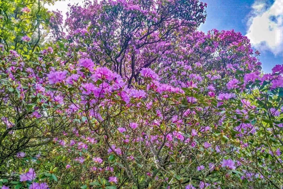 /upload/bbs/2018/04/23/e2f3dba8-a291-4f8b-9b51-7f8698e3e3a9.jpg /upload/bbs/2018/04/23/e2f3dba8-a291-4f8b-9b51-7f8698e3e3a9.jpg