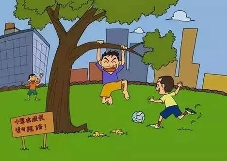 /upload/bbs/2018/05/07/b763ab7d-71d5-4fc6-ab02-6b5603ce1631.jpg /upload/bbs/2018/05/07/b763ab7d-71d5-4fc6-ab02-6b5603ce1631.jpg