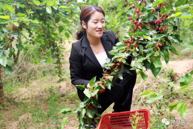 /upload/bbs/2018/05/10/2fc7083c-9bce-4625-8680-097ed6224daa.png /upload/bbs/2018/05/10/2fc7083c-9bce-4625-8680-097ed6224daa.png