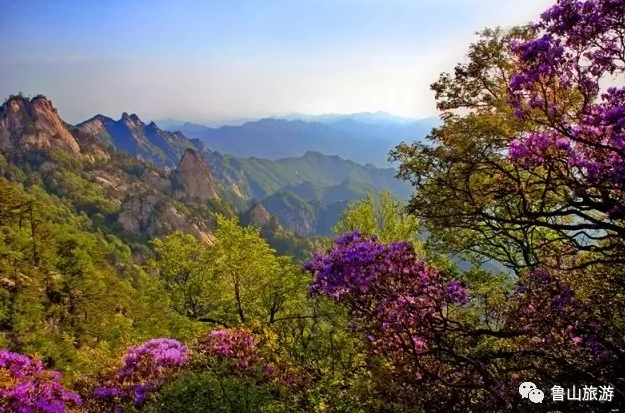 /upload/bbs/2018/05/10/4097d6da-15d3-4621-8053-e4d9df2dcb6c.png /upload/bbs/2018/05/10/4097d6da-15d3-4621-8053-e4d9df2dcb6c.png