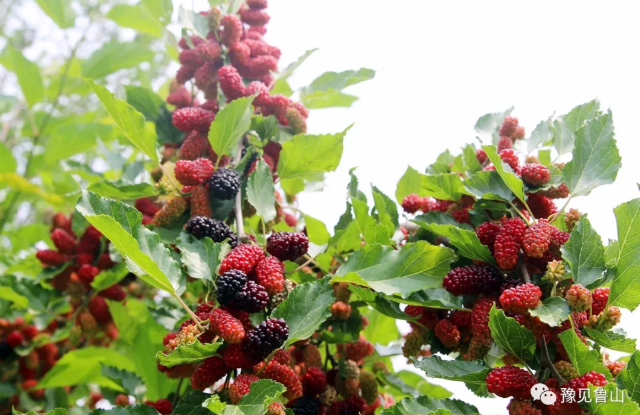 /upload/bbs/2018/05/10/655bf9b9-5484-4bf2-807e-24756f1a61a7.png /upload/bbs/2018/05/10/655bf9b9-5484-4bf2-807e-24756f1a61a7.png