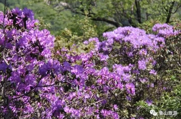 /upload/bbs/2018/05/10/66c90a5f-41ad-4aeb-847d-3df82eee805f.png /upload/bbs/2018/05/10/66c90a5f-41ad-4aeb-847d-3df82eee805f.png