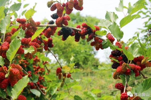 /upload/bbs/2018/05/10/8250213d-8cf4-4d40-8f63-a1d81d3fd773.png /upload/bbs/2018/05/10/8250213d-8cf4-4d40-8f63-a1d81d3fd773.png