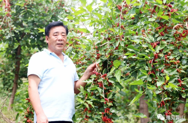 /upload/bbs/2018/05/10/901790c5-664a-40e6-baaa-5eae91e40e03.png /upload/bbs/2018/05/10/901790c5-664a-40e6-baaa-5eae91e40e03.png