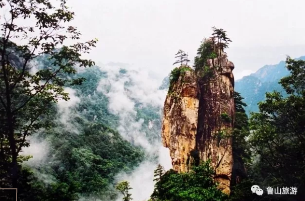 /upload/bbs/2018/05/10/a8a541bf-9a42-4842-8bec-46989a4fa947.png /upload/bbs/2018/05/10/a8a541bf-9a42-4842-8bec-46989a4fa947.png