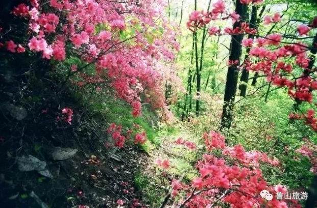 /upload/bbs/2018/05/10/eff71f57-ed61-4db8-ab11-de6fccd05c57.png /upload/bbs/2018/05/10/eff71f57-ed61-4db8-ab11-de6fccd05c57.png