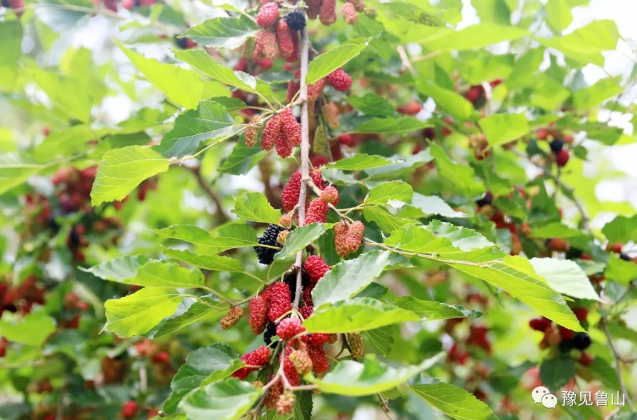 /upload/bbs/2018/05/10/f1f3df87-f3d3-40ad-bc97-3aad353b1db5.png /upload/bbs/2018/05/10/f1f3df87-f3d3-40ad-bc97-3aad353b1db5.png