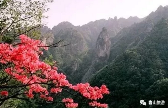 /upload/bbs/2018/05/10/ffc5ea21-407a-4803-bc5c-651cb72e6f49.png /upload/bbs/2018/05/10/ffc5ea21-407a-4803-bc5c-651cb72e6f49.png